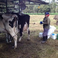 RENÉ ALEJANDRO PÉREZ ROMERO