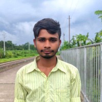 Palash biswas