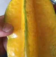 李尚华