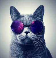 Daniel Antonio Lizarazo Ramos