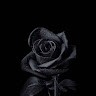 Bandhan Halder