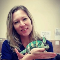 Izel Groenewald