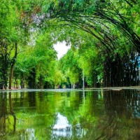 Aashish Deshmukh