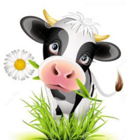 Amipro Bypass Soya Protein