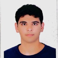 Arash Raisi