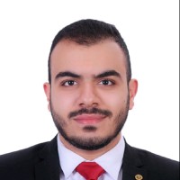 Mina Fathy Tawfick
