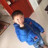 杨友凤