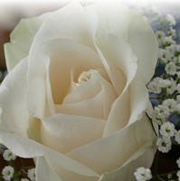 Subaih Reeman