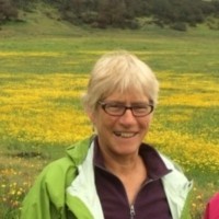 Karen Olson