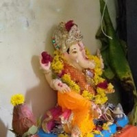 rajnikant limbachiya