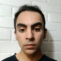 Camilo Alexis Henriquez Ruz