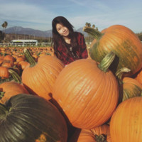Thanh Hien Nguyen