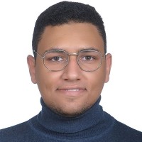 Mohanad Abotaleb