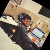 Animesh Tripathi