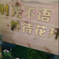 王宝刚