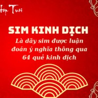 Sim Kinh Dich