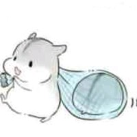 Haotian Sang