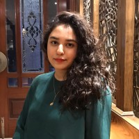 Seemal Nadeem