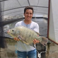 Diego Cárdenas
