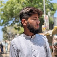Taha Saeed