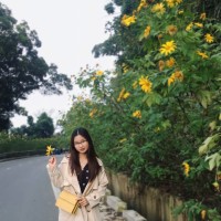 Trang Đin