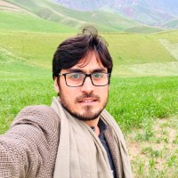 Sayed Hamid