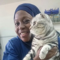 Tawakalitu Akanji _ Abdulsalam
