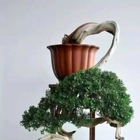 刘朝良