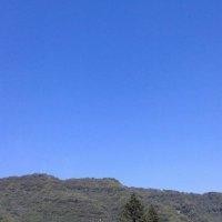 熊寿春
