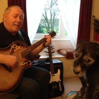 Steve Channing