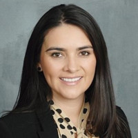 Liliana Carbajal Hernandez, Phd, Pmp