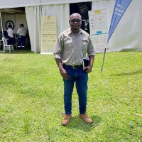 Daniel Mwelumuka