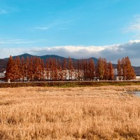 장지호