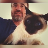 Michael Harrold