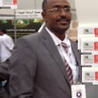 hamed mohammed