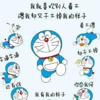 屈少华