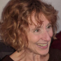 Akkie Van Der Meer