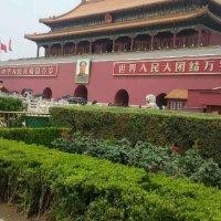 红尘情