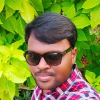 Raja R