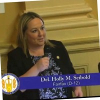 Holly Seibold