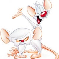 Pinky Brain