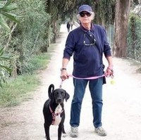 Leardo Morelli