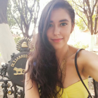 Brenda Araceli Lara Usigli