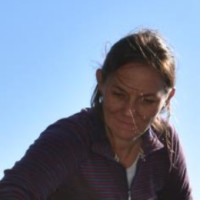 Stacey Young