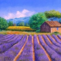 杨惠云