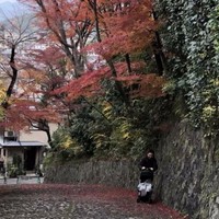 陈颖彬