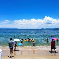 杨明伟