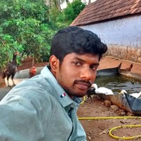 Imman Imman