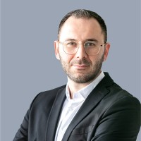 Vadim David Nemirovski