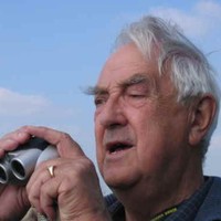 peter raynes